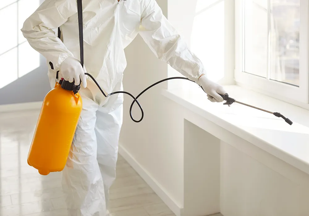 Professioneller Dienstleister für Klavier- und Flügeltransporte durch Umzüge Brandlmeier